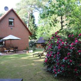 Ferienhaus am Waldesrand，位于Hatten的酒店