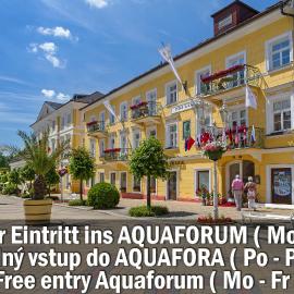 Aparthotel Tři lilie，位于弗兰季谢克矿泉镇的酒店