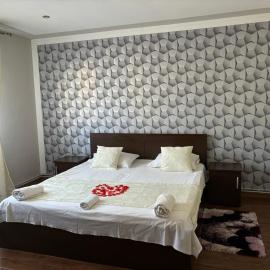 Casa Otilia，位于Chişcău的酒店