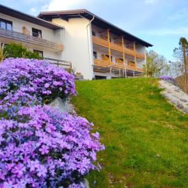 Hotel Sonnenbichl "garni"，位于哈尔布莱希的酒店