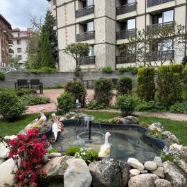 Alpine Lodge Bansko Apartments，位于班斯科的酒店