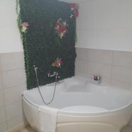 Apartman Tomic，位于布尔奇科的酒店