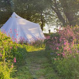 Foxglove Field Glamping，位于Perranuthnoe的酒店