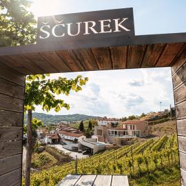 Posestvo Ščurek wine