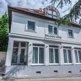 Hotel Bacchus,位于凯斯特海伊的酒店