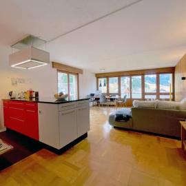 Titlis Lodge Engelberg，位于英格堡的酒店