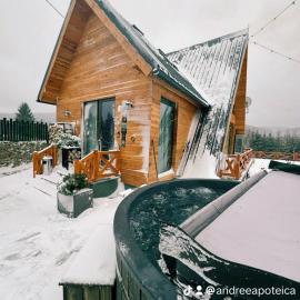 LA CABANE，位于Comandău的酒店