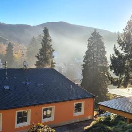 Maxi-Appartement zum gechillten Hirsch OG Traben-Trarbach，位于特拉本特拉巴赫的酒店
