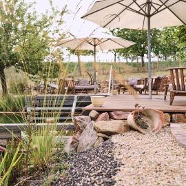 BioWeingut & Landhotel Gänz，位于Hackenheim的酒店