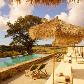Sun Ranch Byron Bay,位于Coopers Shoot的酒店