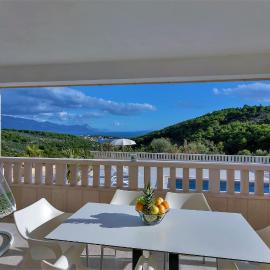 Villa Lokanjac with pool and panoramic sea view，位于塞尔察的酒店