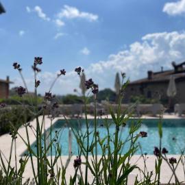 Dimora del Torchio Piscina panoramica e Jacuzzi