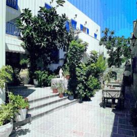 Minoa Hotel，位于纳乌萨的酒店