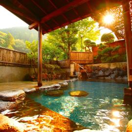 Sakaya Ryokan Yoshina Onsen，位于伊豆的酒店