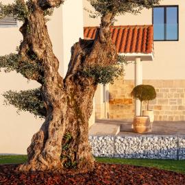 HOTEL RURAL FINCA LA DESA，位于Miajadas的酒店