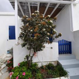 Dina's Volax House-Tinos island，位于Vólax的酒店