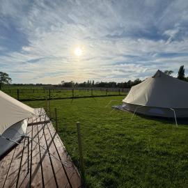 Glamping Mangoeste，位于泽德尔海姆的酒店