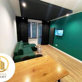 Apartament Zielony，位于蒂黑的酒店