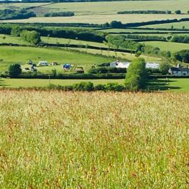 Headgate Farm Camp Site - Pitches Only - Bring your own tent or van，位于南莫尔顿的酒店