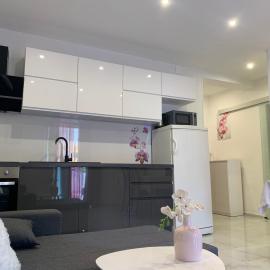 Apartments Milica，位于米尔希的酒店