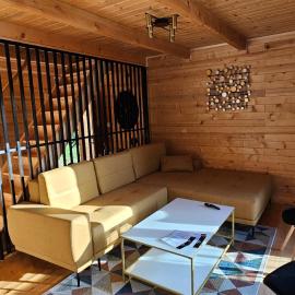 NEO resort Hill jezero Bruje，位于Erdevik的酒店