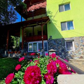 Vila Giulia Voineasa，位于沃伊内亚萨的酒店