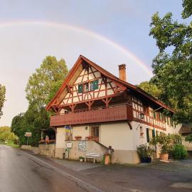 Studio beim Rhein - Ziegelhütte，位于Flaach的酒店