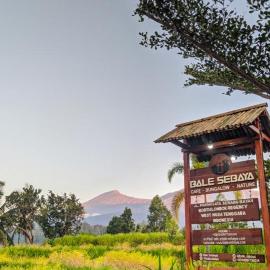Balé Sebaya - Bungalows Café Nature，位于森纳儒的酒店