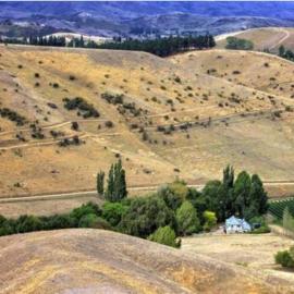 Tiny home on wheels in the vines，位于克伦威尔的酒店