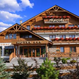 Hotel Alpejski，位于波兰尼卡-兹德鲁伊的酒店