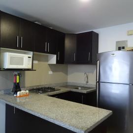 Moderno Departamento Familiar con Vista al Mar y WI-FI，位于阿塔卡梅斯的酒店