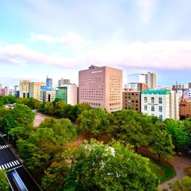 Sapporo View Hotel Odori Park，位于札幌的酒店