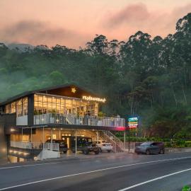Green Tea Hotels，位于德维科拉姆的酒店