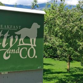 B&B Scotty & Co.，位于苏萨的酒店