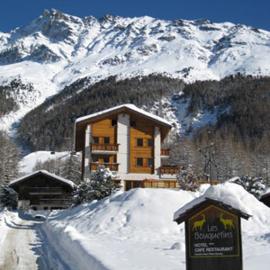 Hôtel Garni Les Bouquetins，位于琪纳尔的酒店