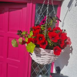The Pink Door，位于Killala的酒店