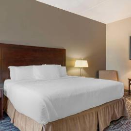 Best Western Plus Brandon Inn,位于布兰登的酒店