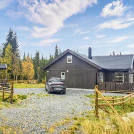 Nice Home In Hemsedal With Sauna，位于海姆瑟达尔的酒店