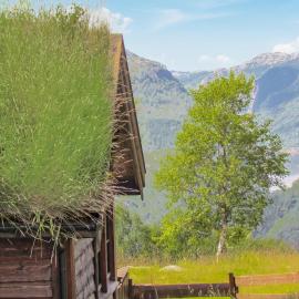 Holiday Home Vikeså Stavtjørn Iii，位于Vikeså的酒店