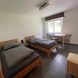 Ferienregion Andermatt - Studio in Wassen，位于瓦森的酒店