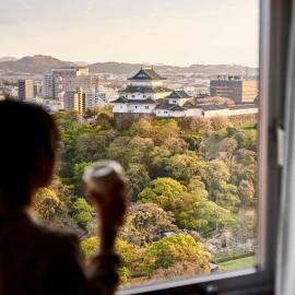 Daiwa Roynet Hotel Wakayama，位于和歌山的酒店