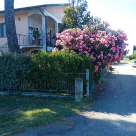 Casa Vintago b&b，位于萨维奥迪拉韦纳的酒店