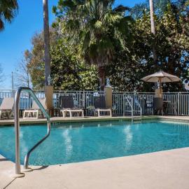 Comfort Suites Clearwater - Dunedin