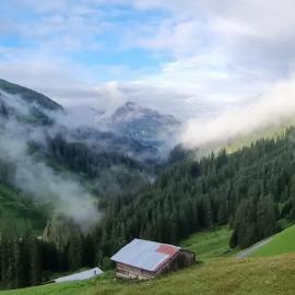 Älpler Stuba Appartements am Lärchenhof，位于沃瑟姆阿尔伯格的酒店