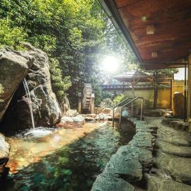 Nara Park Hotel，位于奈良的酒店