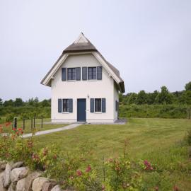 Reetland am Meer - Premium Reetdachvilla mit 3 Schlafzimmern, Sauna und Kamin F04，位于德兰斯克的酒店