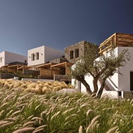 Anemelia Hotel Mykonos，位于埃利亚海滩的酒店