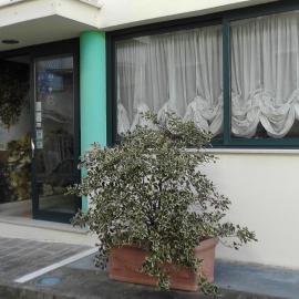 Alma Hotel San Giorgio，位于San Giorgio Lucano的酒店