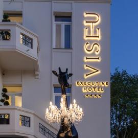 VISEU EXECUTIVE Hotel，位于维塞乌的酒店