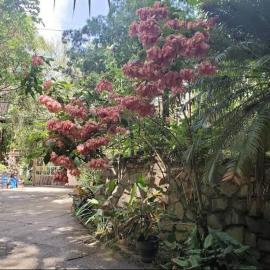 Hillcrest Sanctuary，位于Maraval的酒店